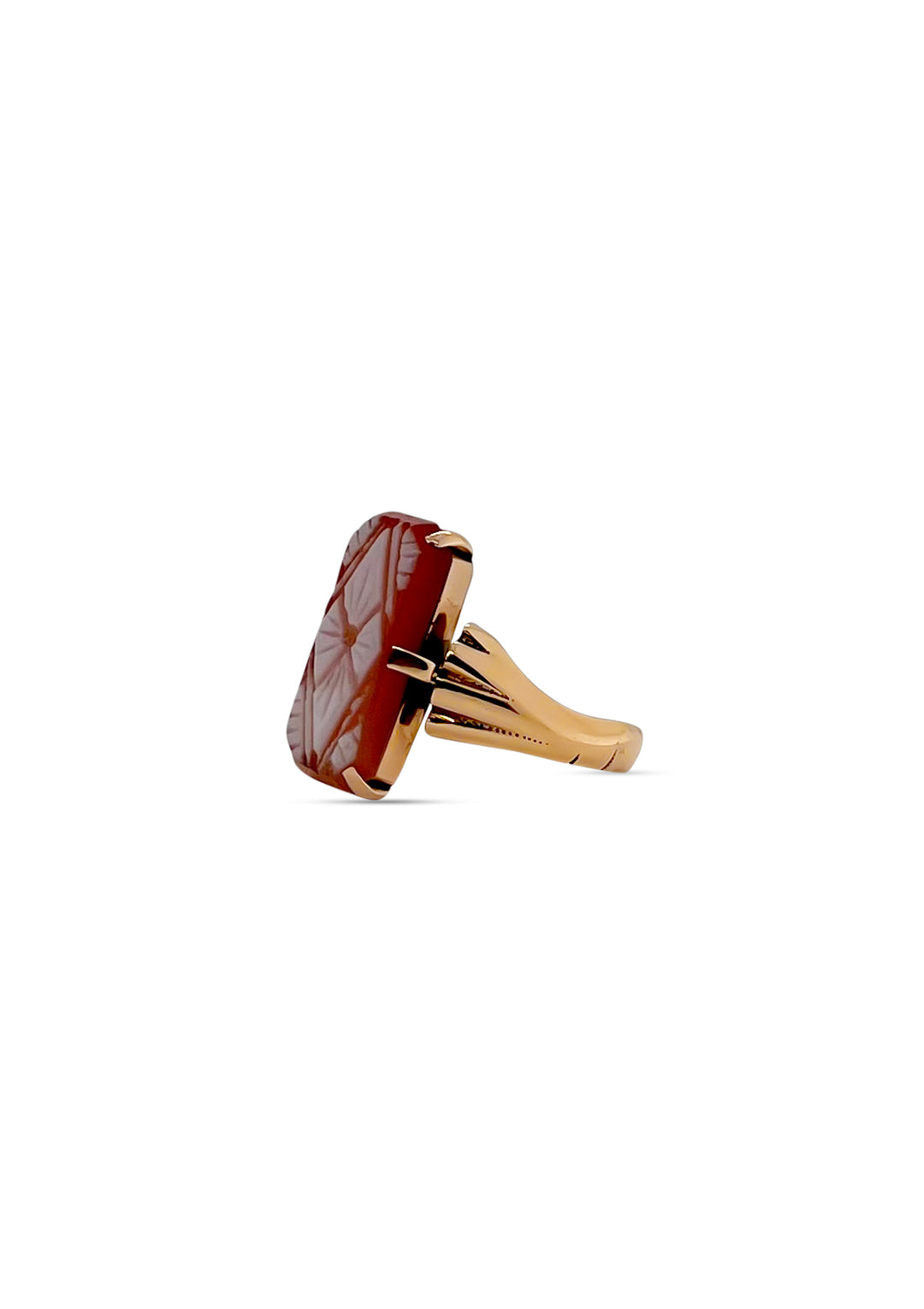 14K Yellow Gold Carved Shell Ring
